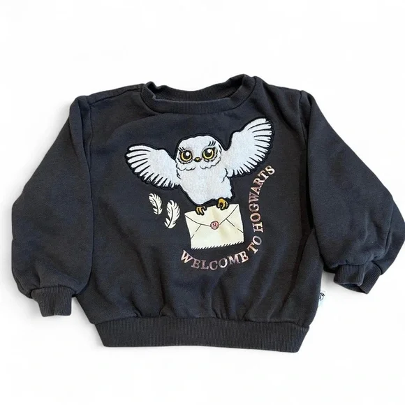 Harry Potter x H&M Hogwarts Hedwig Sweater 2T - Picture 1 of 5